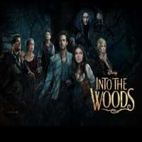 Billy MagnussenInto the Woods as Rapunzel's Prince (Film 2014), Birth of the Dragon as Steve McKee (Film 2016), Game Night as Ryan Huddle (Film 2018)