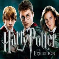 Freddie StromaHarry Potter Film Series as Cormac McLaggen (2009-2011), A Cinderella Story: Once Upon a Song as Luke Morgan (Film 2011)