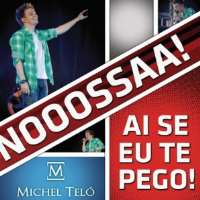 Michel TeloGrupo Tradicao (Band), Ai Se Eu Te Pego (Single 2008)