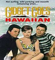 Deborah WalleyGidget Goes Hawaiian as Gidget (Film 1961)