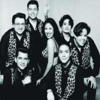 Chris PerezSelena y Los Dinos (Band)