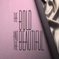Texas BattleThe Bold and the Beautiful as Marcus Forrester (Soap Opera 2008-2013)