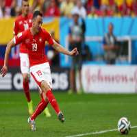 Josip DrmicFIFA World Cup (2014)
