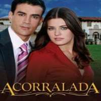 Laura FerrettiAcorralada as Virginia (TV Series 2007), Fearless Heart as Trinidad Giron (TV Series 2012)