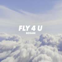 NosamFly 4 U (Song 2016), Higher (Album 2017)