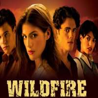 Ryan SypekWildfire as Junior Davis (TV Series 2005-2008), Greek as Ryan Prince (TV Series 2008)
