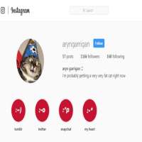 Aryn GarriganInstagram