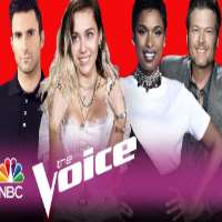 Brandon ShowellThe Voice Season 13 (TV Series 2017)
