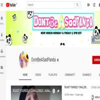 Adria KillenDontBeASadPanda (YouTube Channel 2011)