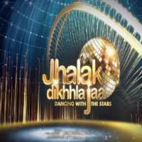Manish PaulJhalak Dikhhla Jaa (TV Series 2012-2014)