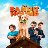 Dominic KlineThe Bandit Hound as Aiden (Film 2016)