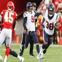 Shane LechlerAmerican Professional Football Player