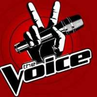 CheesaThe Voice (TV Series 2012), I'm Not Perfect (Single 2012)
