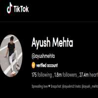 Ayush MehtaTikTok