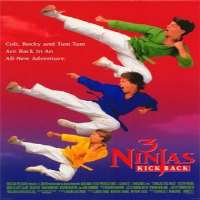 J. Evan Bonifant3 Ninjas Kick Back as Michael 
