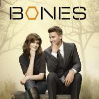 Stephen NathanTracey Takes on New York (TV Film 1993), Bones (TV Series 2005-2017)