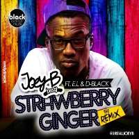 Joey BStrawberry Ginger (Single 2013), Tonga (Single 2014), Pinch mah Nips (Single)