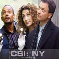 Robert JoyCSI: NY as Dr. Sid Hammerback (TV Series 2005-2013), Land of the Dead as Charlie (Film 2005)