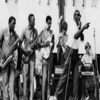 Luther AllisonHowlin' Wolf's (Band)