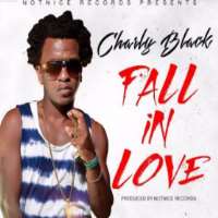 Charly BlackFall in Love Again (Single 2010), Gyal You a Party Animal (Party Animal) (Single 2014)