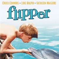 Luke HalpinFlipper as Sandy Ricks (Film 1963), Flipper's New Adventure as Sandy Ricks (Film 1964)