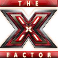 Matt CardleThe X Factor UK (TV Series 2010)