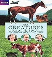 Peter DavisonAll Creatures Great and Small as Tristan Farnon (TV Series 1978-1990)