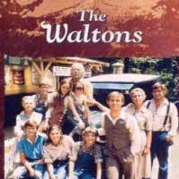 michael learned olivia walton waltons 1972 1979 tv series notednames