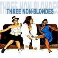 Tameka Empson3 Non-Blondes (TV Show 2003)