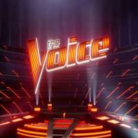 Brynn CartelliThe Voice (TV Series 2015)