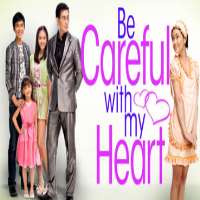 Janella SalvadorBe Careful With My Heart as Nikki Grace Lim (TV Series 2012-2014)