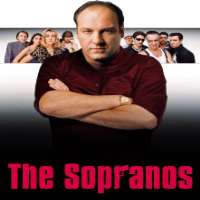 Louis MustilloThe Sopranos as Salvatore Sal Vitro (TV Series 2004-2006), Mike & Molly as Vince Moranto (TV Series 2010-2016)