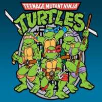 Townsend ColemanTeenage Mutant Ninja Turtles (TV Series 1987-1996)