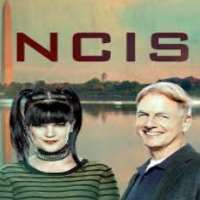 Emily WickershamNCIS as Eleanor Ellie Bishop (TV Series 2013-Present)