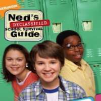 Daniel Curtis LeeNed's Declassified School Survival Guide as Simon Cookie Nelson-Cook (TV Series 2004-2007)