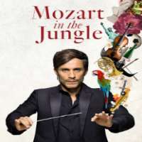 Miles RobbinsMozart in the Jungle as Danny/Eraseface (TV Series 2018)