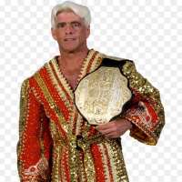 Ric Flair Birthday, Real Name, Age, Weight, Height, Family, Facts 