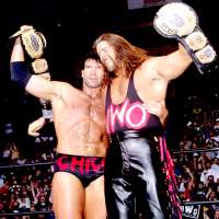 Kevin NashWWF Tag Team Championship (1994), Match of the Year (1995),  TNA World Heavyweight Championship (2008)