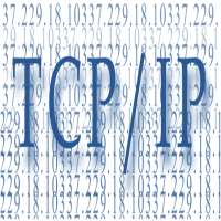 Vint CerfTCP/IP (1980)