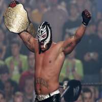 Rey MysterioCruiserweight Championship (1996), WCW World Tag Team Championship, CWE World Grand Prix (2017