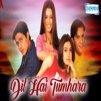 Jimmy SheirgillMere Yaar Ki Shaadi Hai as Rohit Khanna (Film 2001), Dil Hai Tumhaara as Samir (Film 2002)