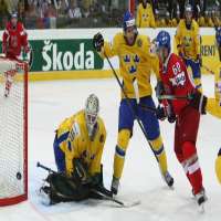 Jonas GustavssonSwedish Professional Ice Hockey Player