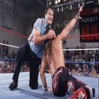 Mike RotundaWWF World Tag Team Championship (1985), NWA Florida Heavyweight Championship (1987), NWA World Television Championship (1988)