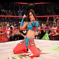 Sarah StockCan-Am Wrestling Women's Championship (2002), AULL Copa Internacional Femenil (2007), Wonder of Stardom Championship  (2013)