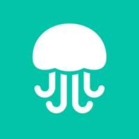 Biz StoneCo-Founder Twitter (Application 2006), Jelly (Application 2013)