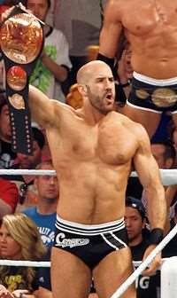 Cesaro (Wrestler)ROH World Tag Team Champion (2005), Pro Wrestling Guerrilla