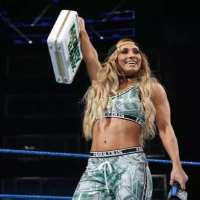 Carmella (Wrestler)World Wrestling Entertainment (2013)