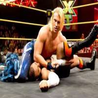 Tyler BreezeFCW Florida Heavyweight Championship (2011),  FCW Florida Tag Team Championship with Partner Roman Leakee,