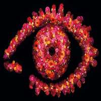 Ulrika JonssonUltimate Big Brother UK (TV Show 2010)