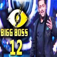 Somi KhanBig Boss 12 (TV Series 2018)